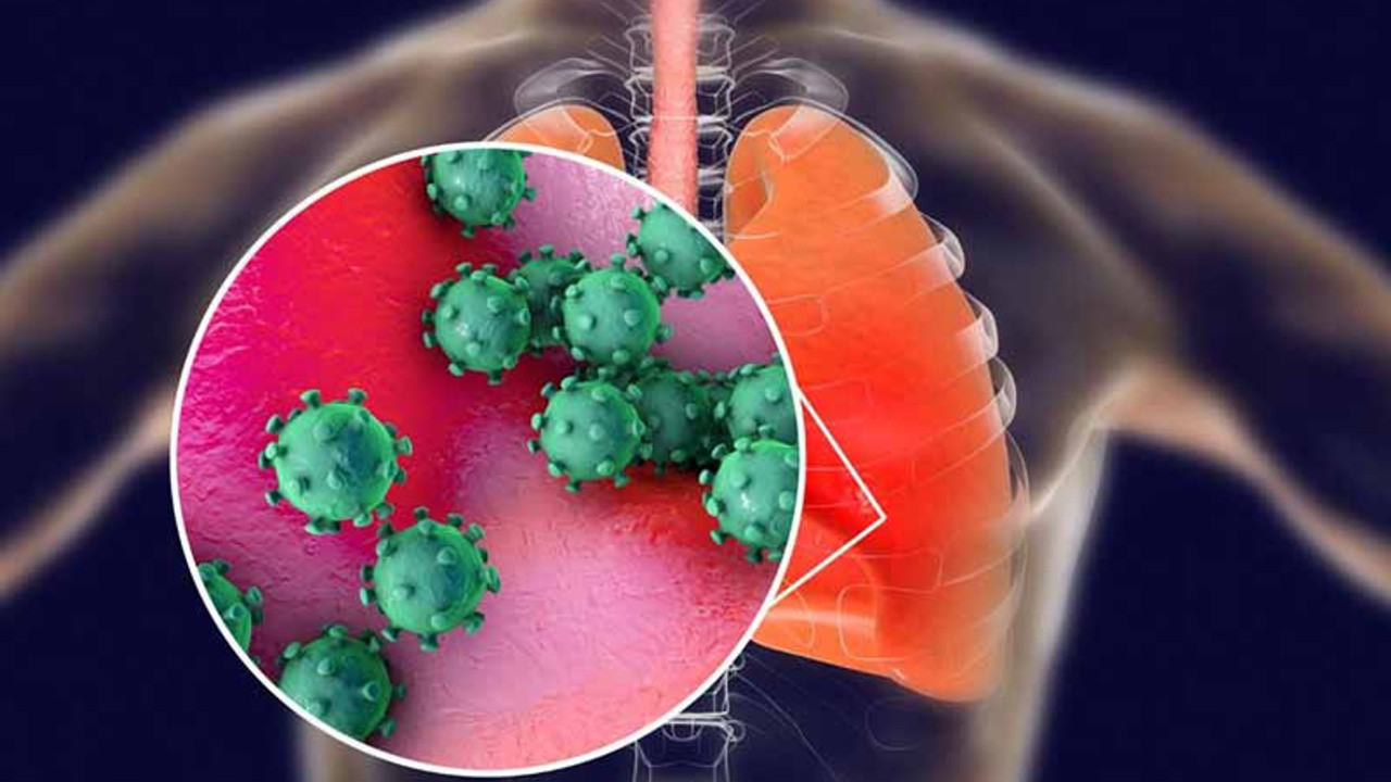 Koronavirüsünün akciğerlere verdiği zarar görüntülendi