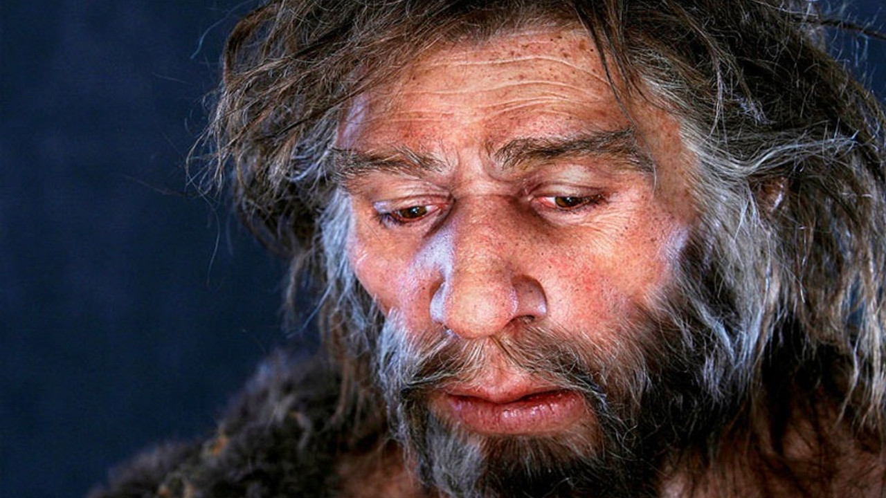 Neandertaller de düzenli olarak deniz ürünleri tüketiyormuş