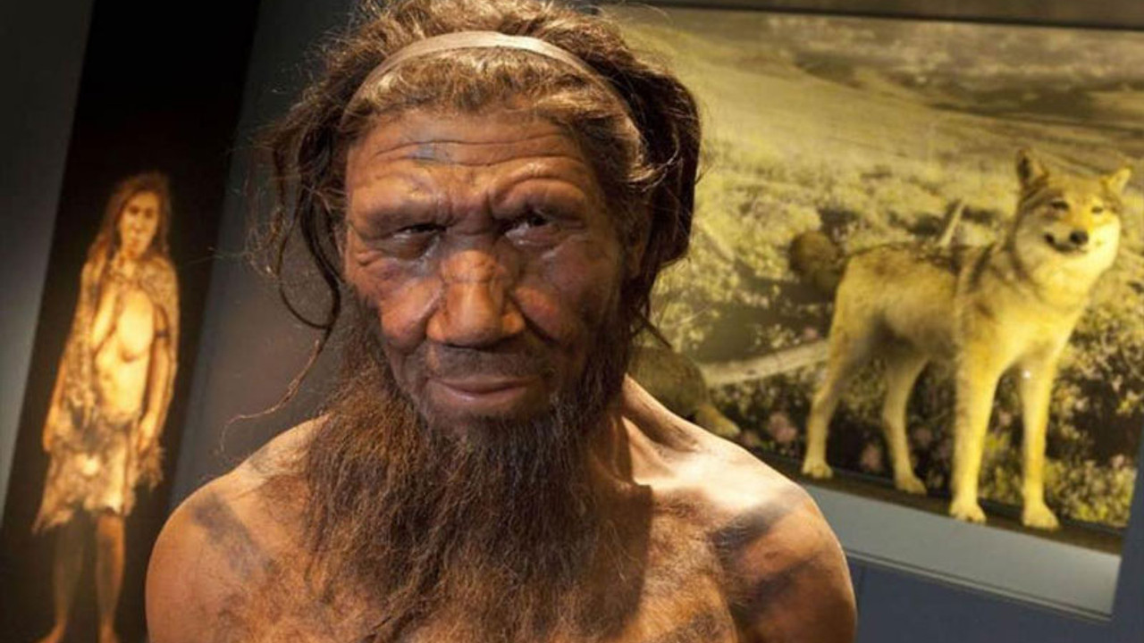 Erken yatıp erken kalkanların sırrı çözüldü: Neandertal geni