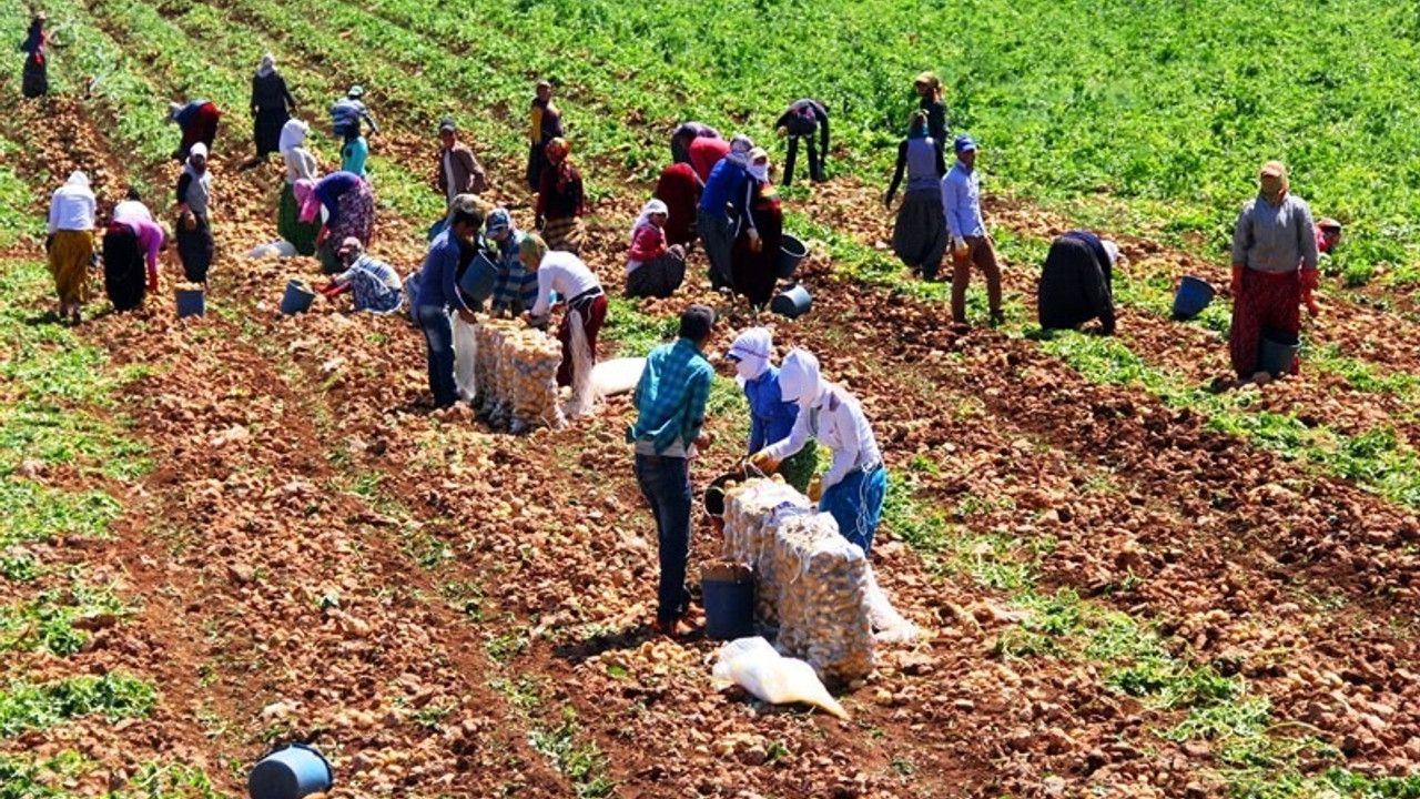 'Tarımda harekete geçilmezse açlık salgını başlayacak'