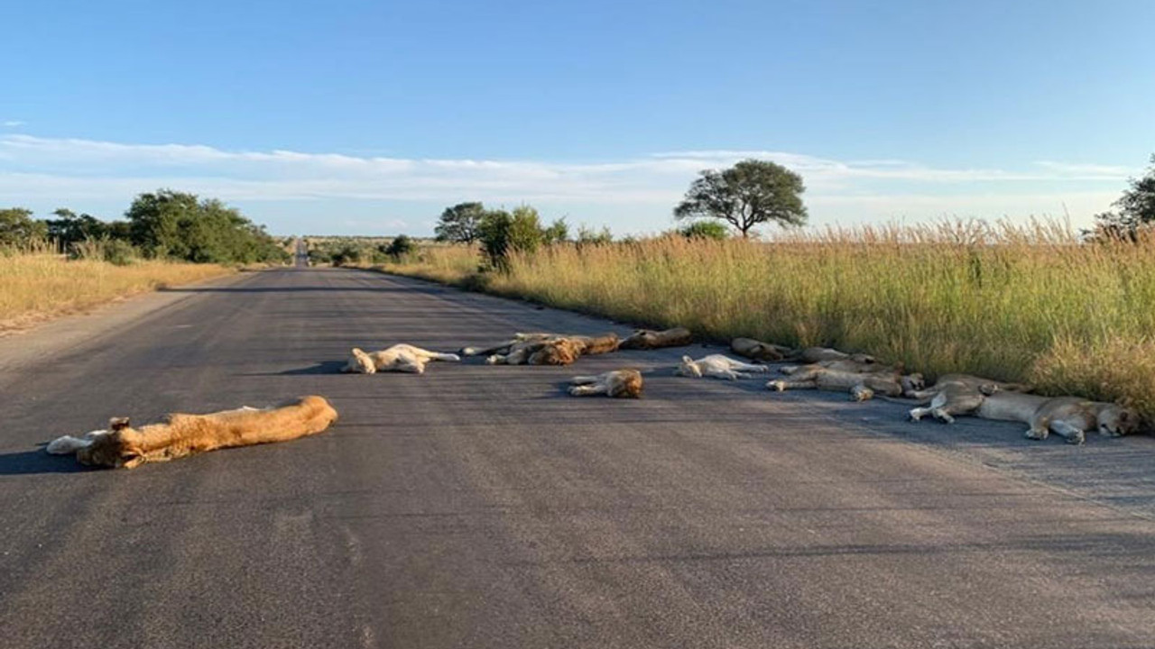 Korona nedeniyle boşalan yollar onlara kaldı