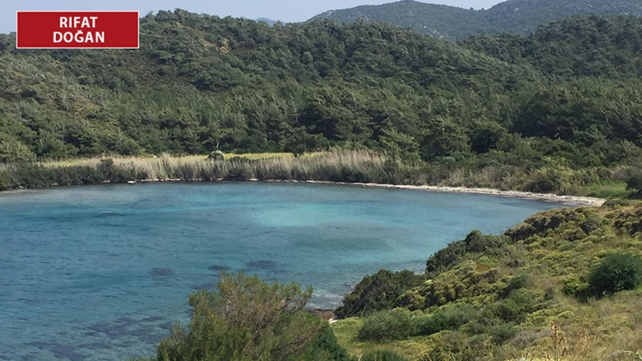 Okluk Koyu’ndan sonra sıra Alavara’da: Sit derecesi düşürüldü, yapılaşmanın önü açıldı