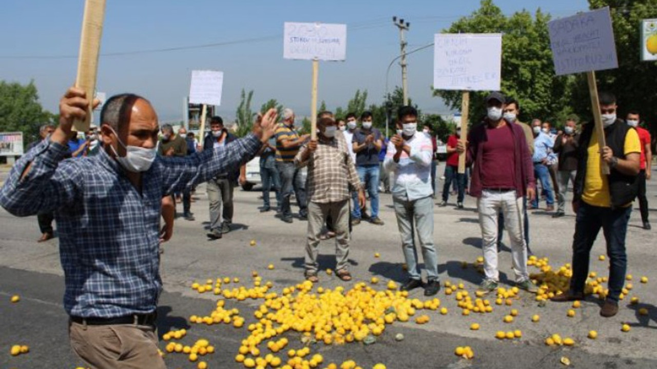 Limon üreticisi eylem yapıp yol kapattı