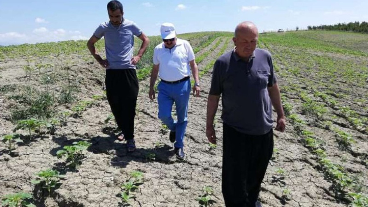 Sıcak ve rüzgarın etkili olduğu Karaisalı'da afet ilanı talebi