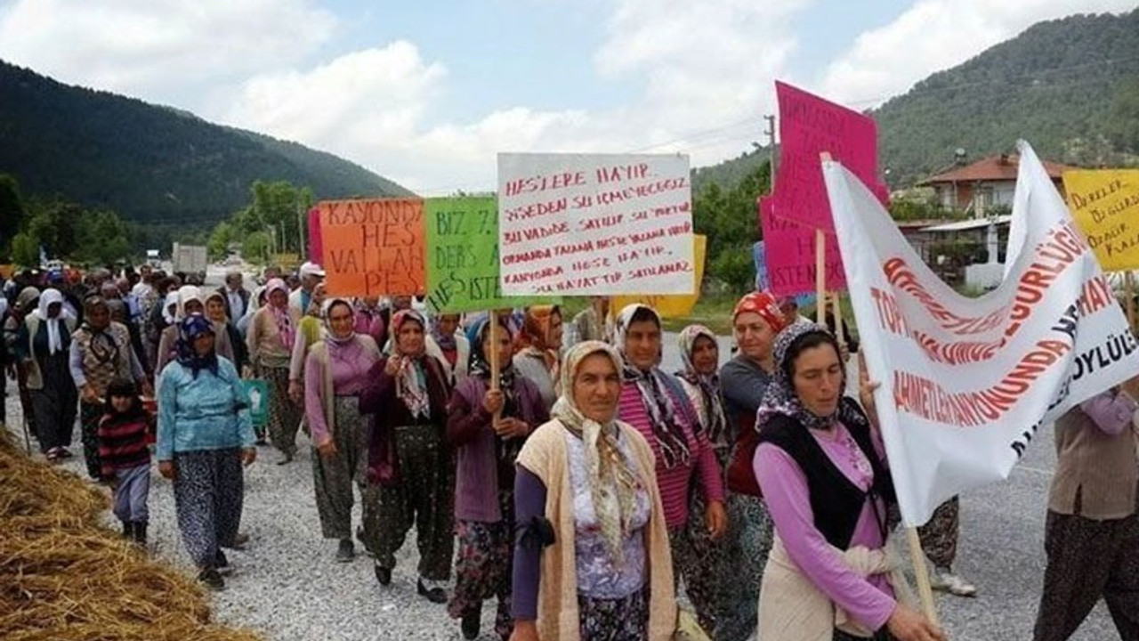 Antalya’nın mor üzümü HES tehdidi altında