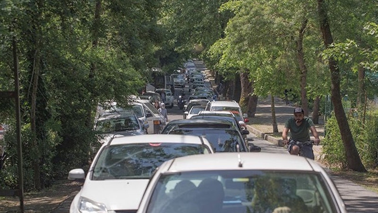 Belgrad Ormanı'nda 'yeni dönem' yoğunluğu: Üç aydır bugünü bekliyorduk