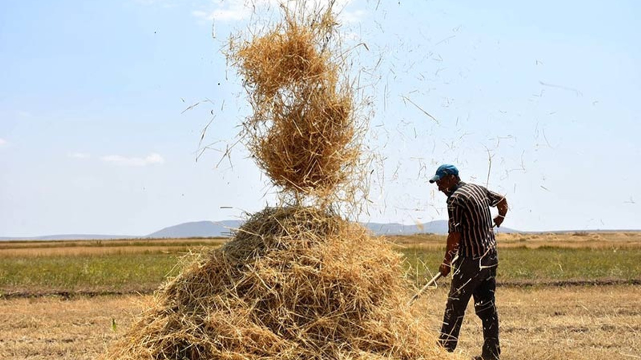 Tarım Bakanı: Çiftçilere 7,8 milyon lira hasar tazminatı ödenecek