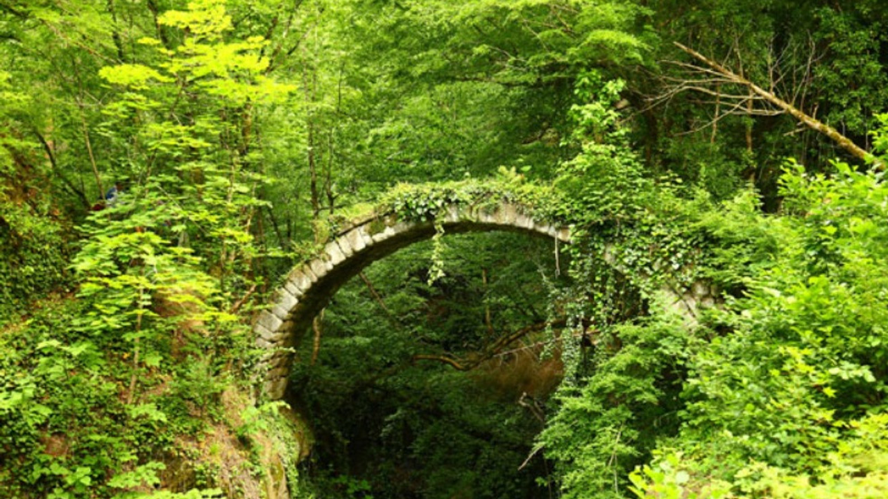 Artvin'de, tarihi kemer köprü keşfedildi: turizm için kollar sıvandı