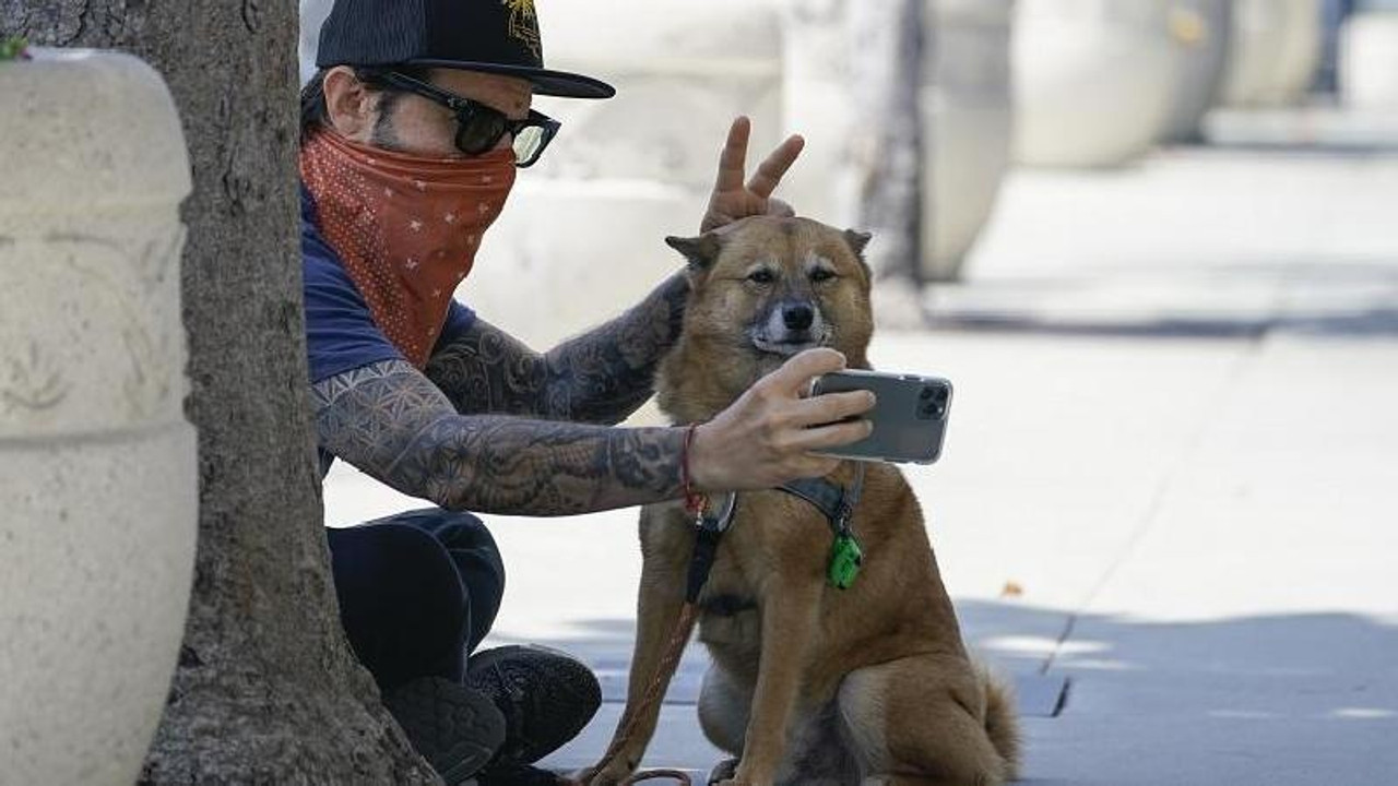 Araştırma: Köpeklerin 1 yılı insanların 7 yılına denk değil