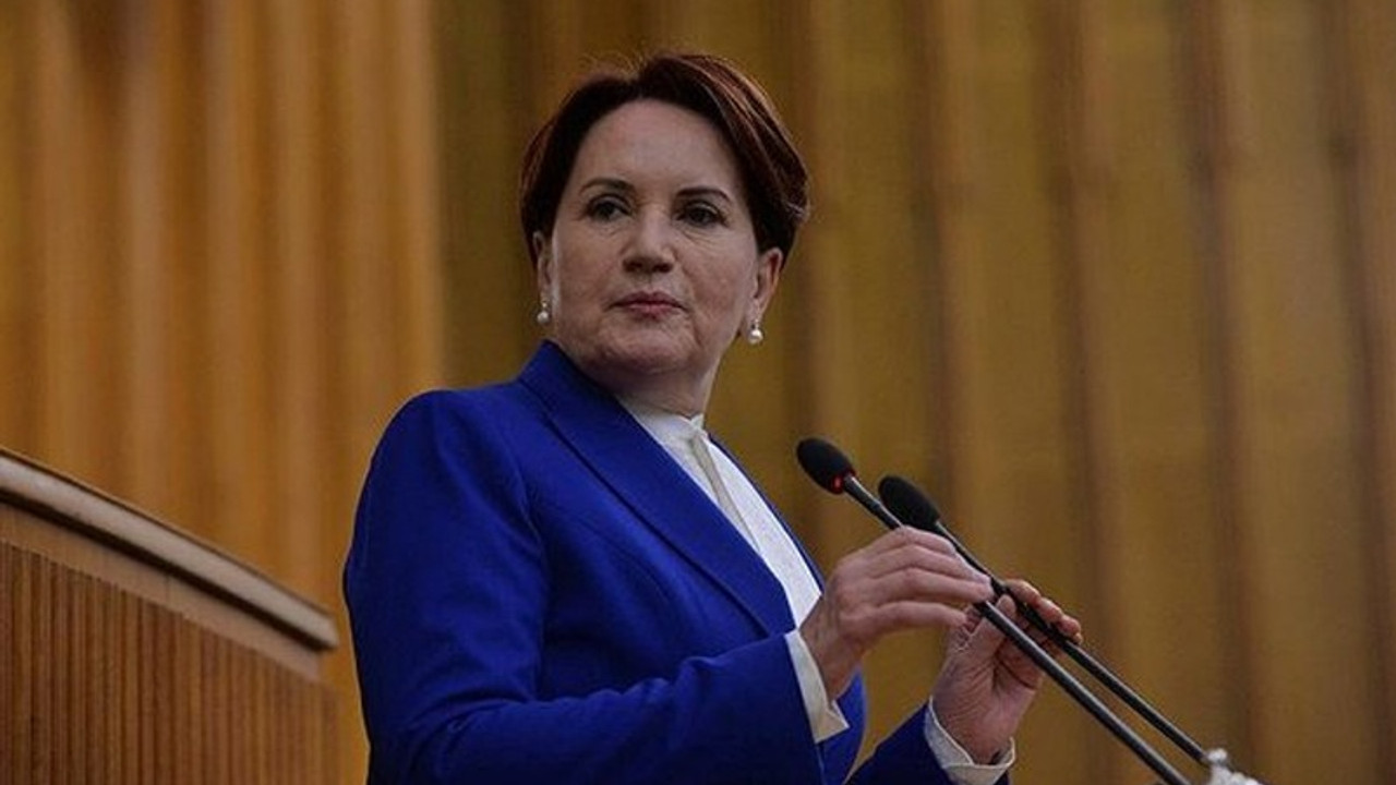 Meral Akşener özür diledi