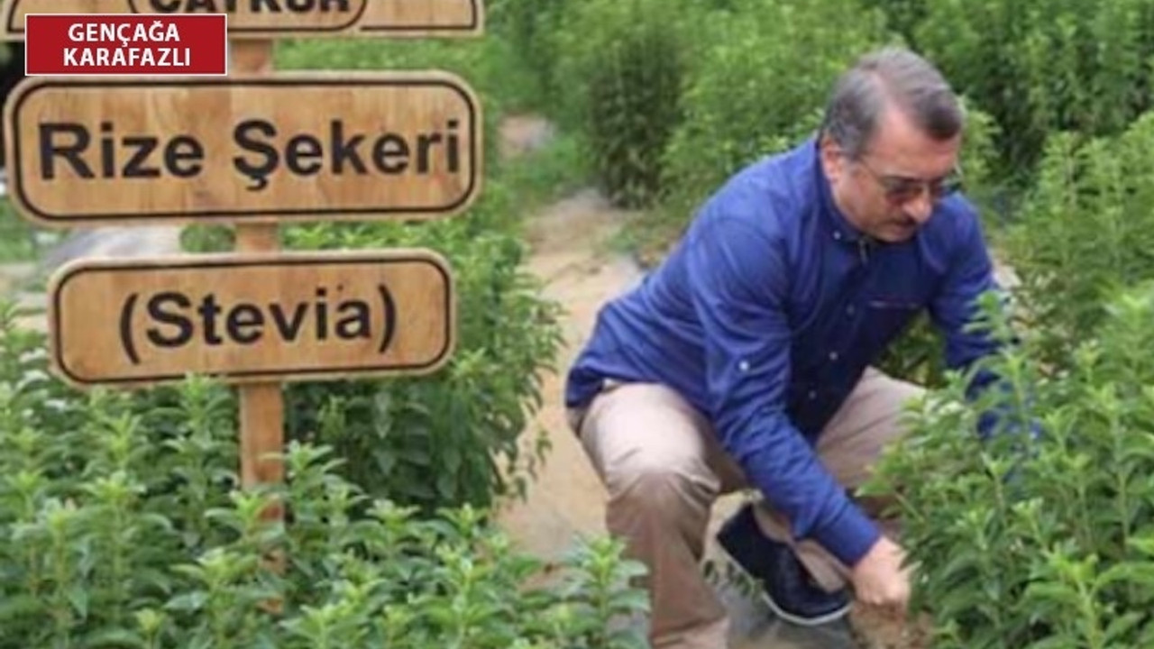 Eleştirilerin odağındaki isim Sütlüoğlu: Partim zarar görmesin diye sustum