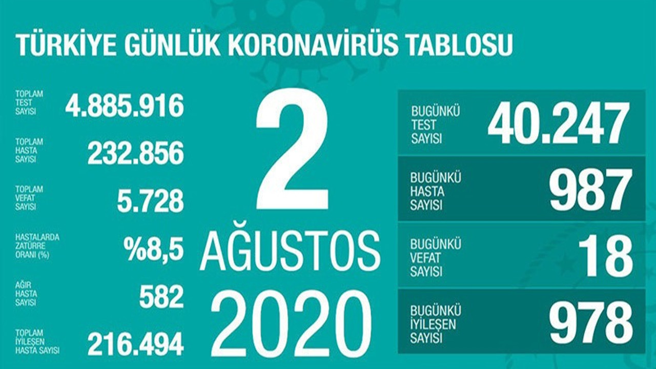 Türkiye'nin Coronavirus tablosu: Ortaya çıkacak sonuçları açısından kaygı verici