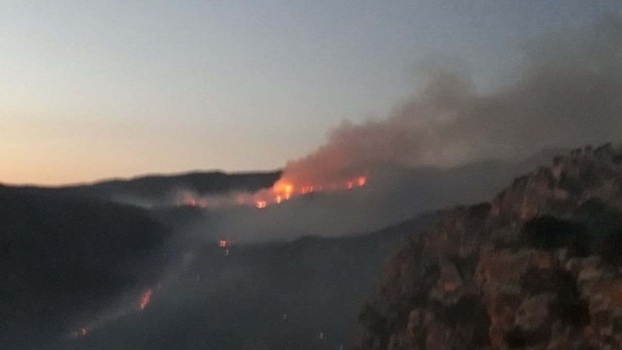 HDP'li Şırnak milletvekilleri: Yangınların sebebi güvenlikçi politikalar