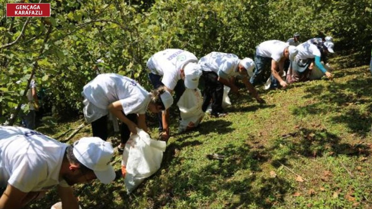 Gürcistan'dan gelecek mevsimlik işçiler için detaylar belli oldu