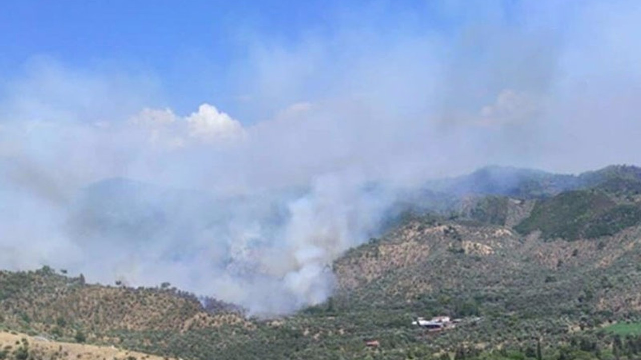 Muğla'da ormanlık alanda yangın