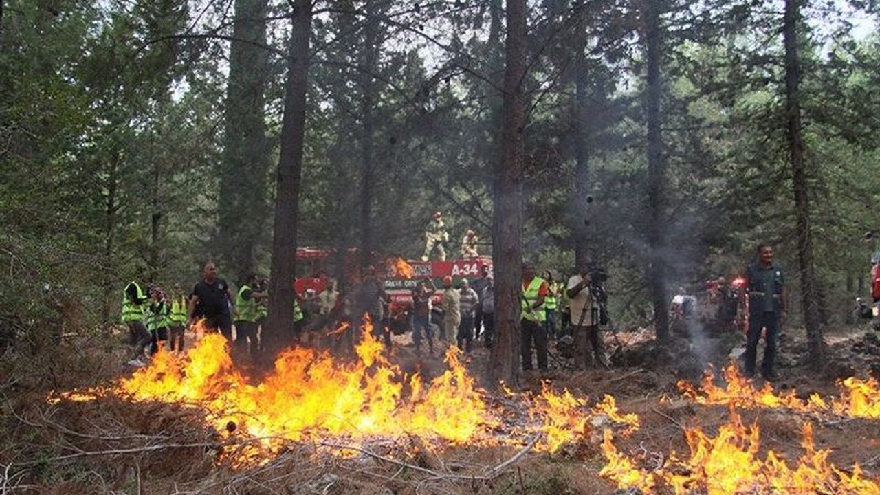 Orman Bakanı 'her türlü kayıp olabilir' demişti: 2019’da 486 orman işçisi yaşamını yitirdi