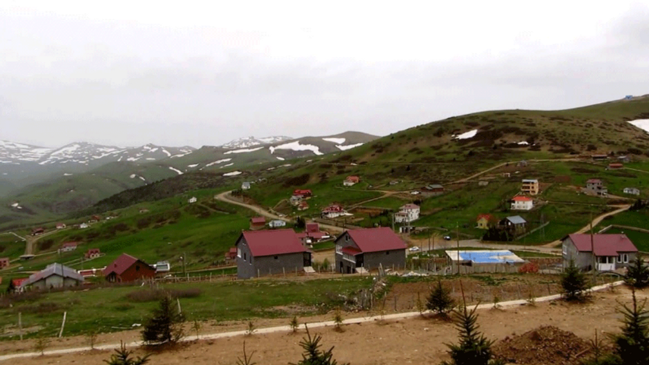 Arap yatırımcı gözünü Ordu'ya dikti