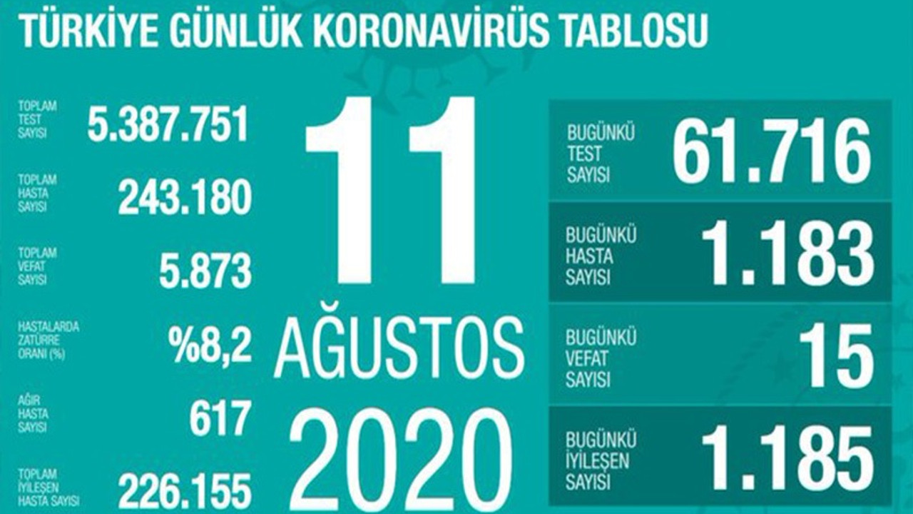 Coronavirus: Vaka sayılarının en fazla arttığı iller açıklandı