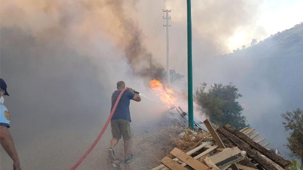 Bodrum'da çöplükte başlayan yangın ormana sıçradı