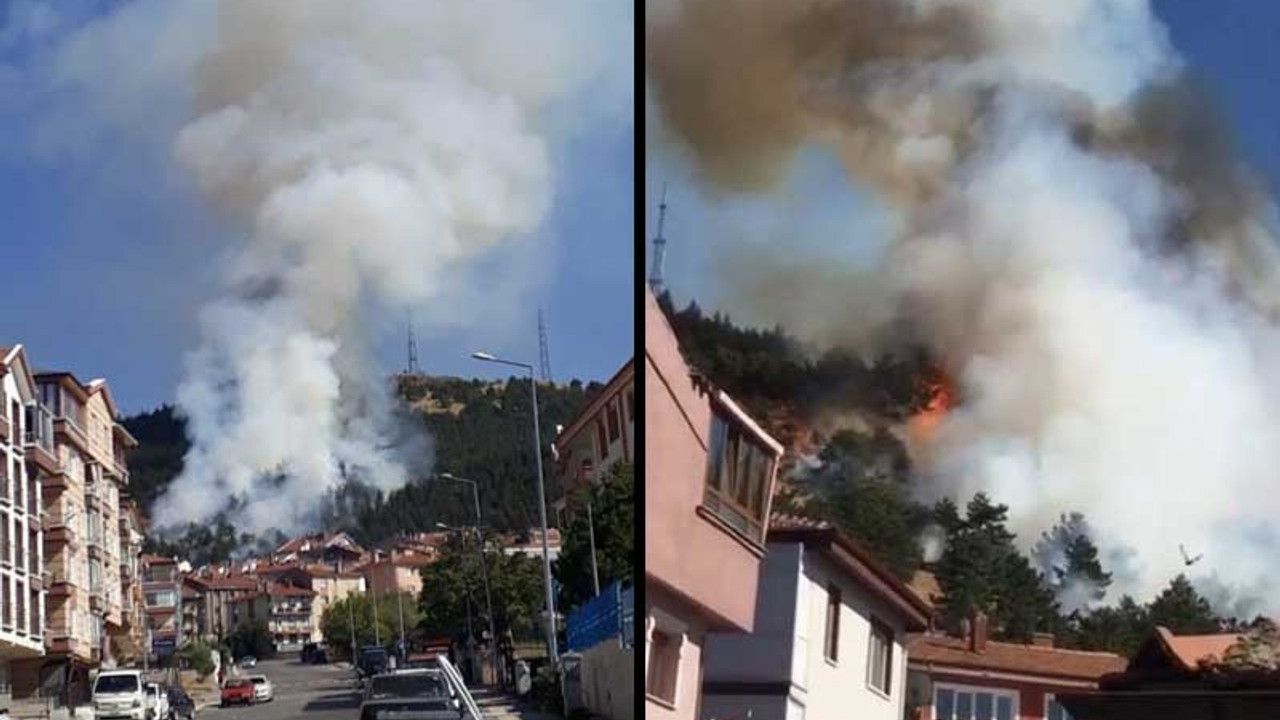 Ankara'da orman yangını