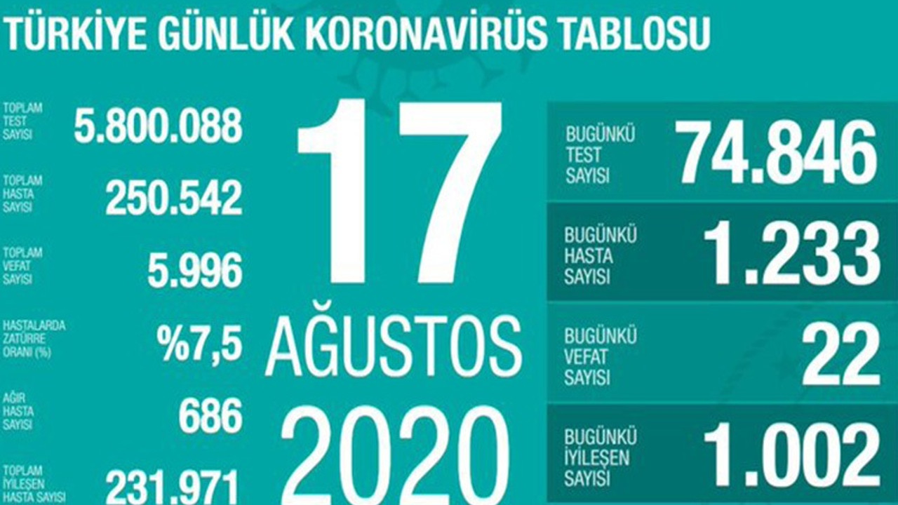 Türkiye'de Coronavirus vaka sayısı 250 bini geçti, ağır hasta sayısı artıyor