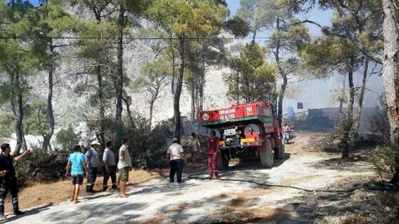 Datça'da orman yangını