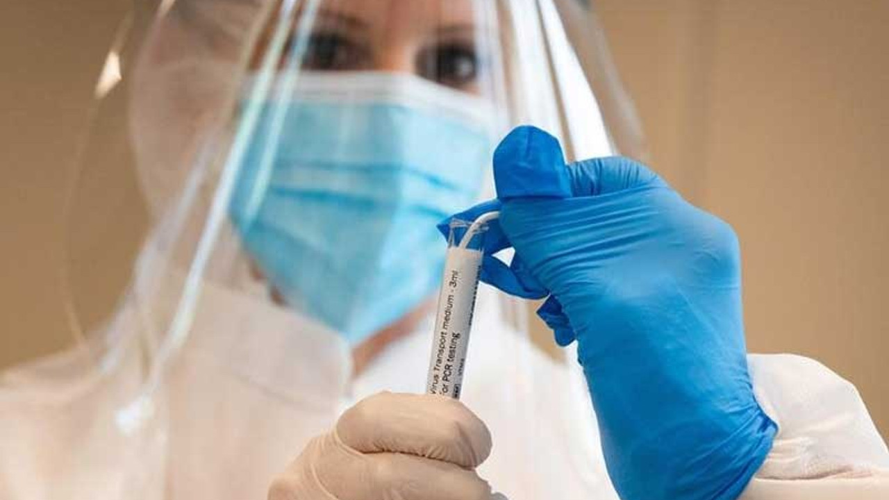 Belçika ve Hollanda'da hastalığı atlatanlar Coronavirus'e ikinci kez yakalandı