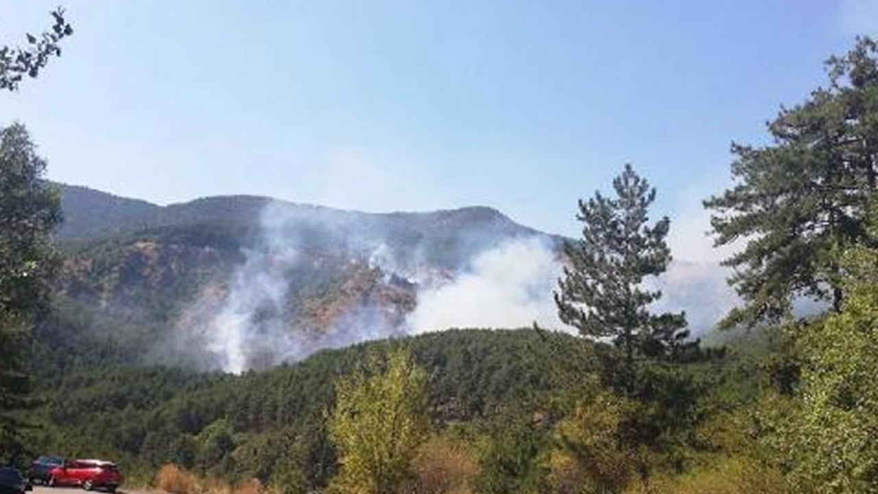 Soğuksu Milli Parkı'nda yangın