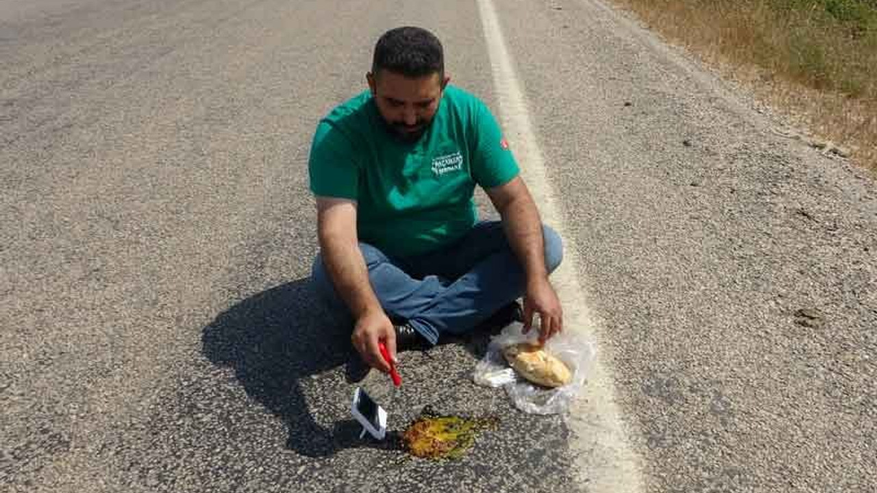 Adana'da asfaltta sucuklu yumurta pişirdi