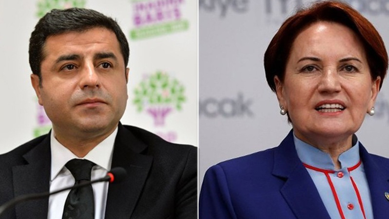 Demirtaş'tan Akşener'in, 'Kan davalınız bile olsa içeri alırsınız' sözlerine yanıt