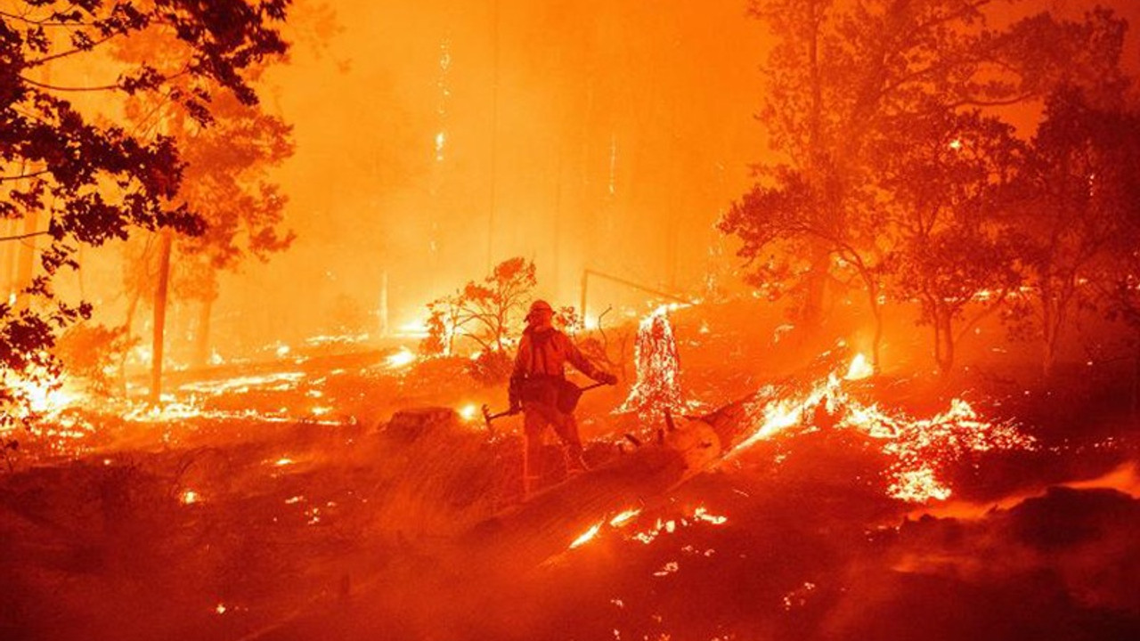 California'da 800 bin hektardan fazla orman yandı