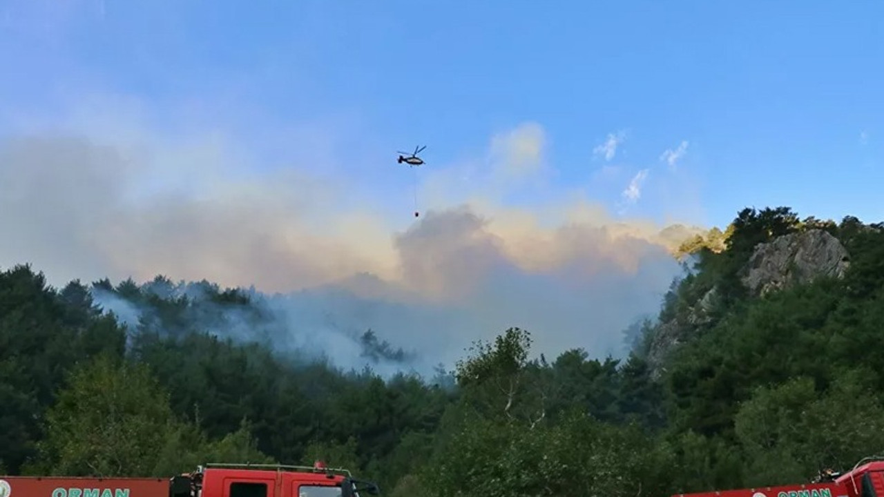 Adana'da orman yangını 3. gününde: Havadan müdahale yeniden başladı