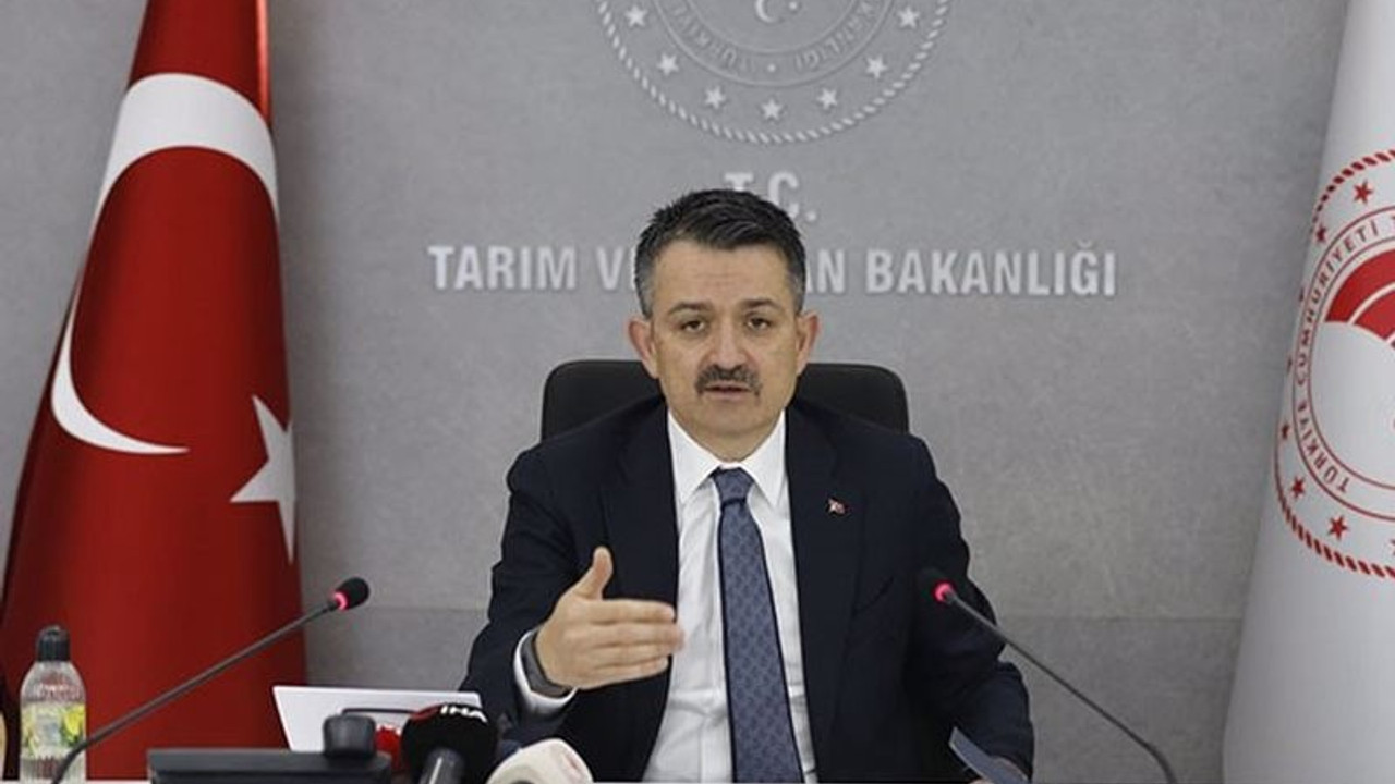 Bakan Pakdemirli: Adana'daki yangın kontrol altına alındı