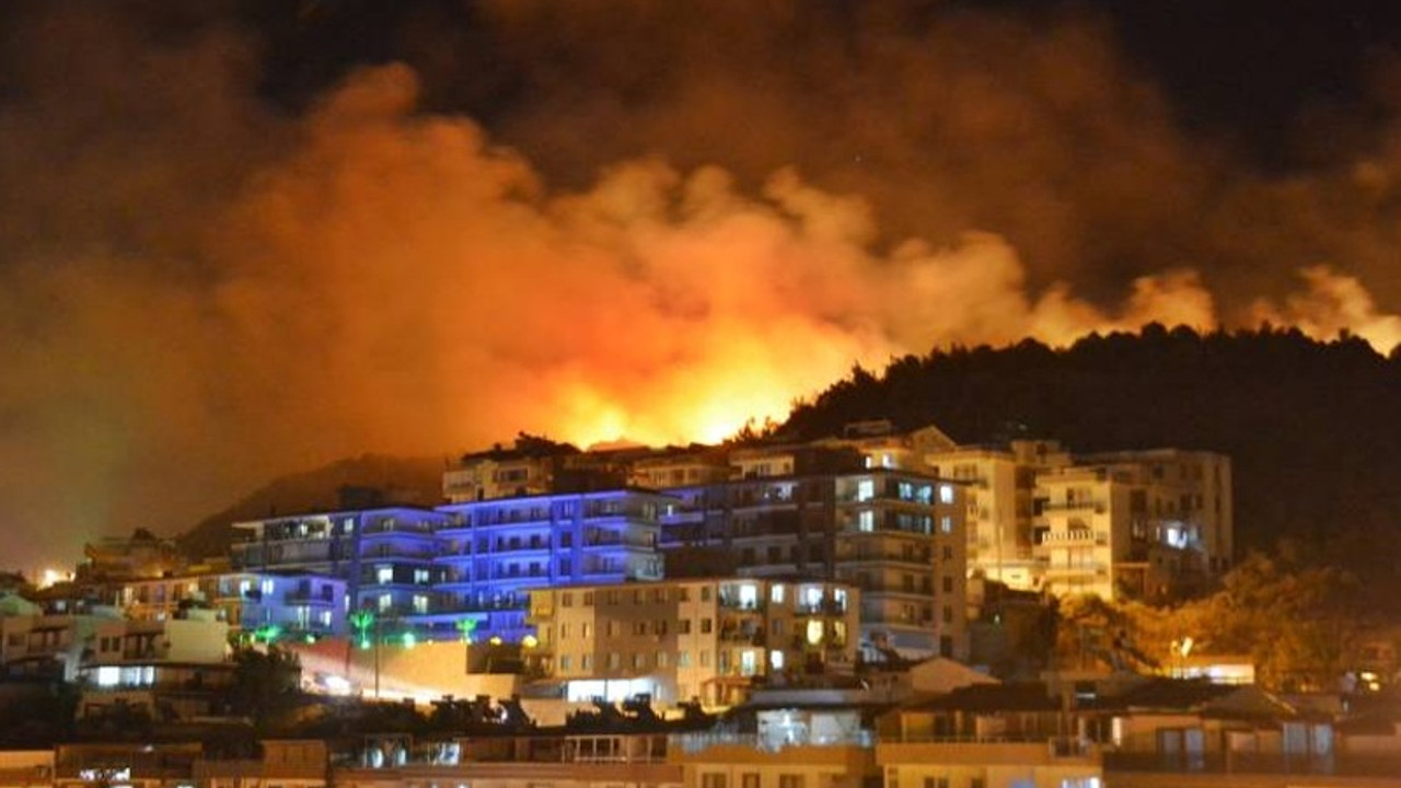 İzmir Dikili'de orman yangını