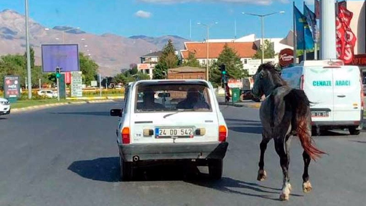 Arabaya bağladıkları atı kilometrelerce koşturdular