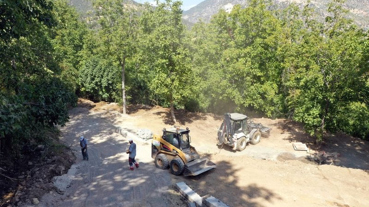 812 yaşındaki çınarın çevresindeki beton yapılara yıkım kararı