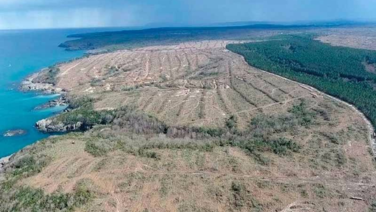 DAÇE, Akkuyu Nükleer Santrali'ne karşı harekete geçti