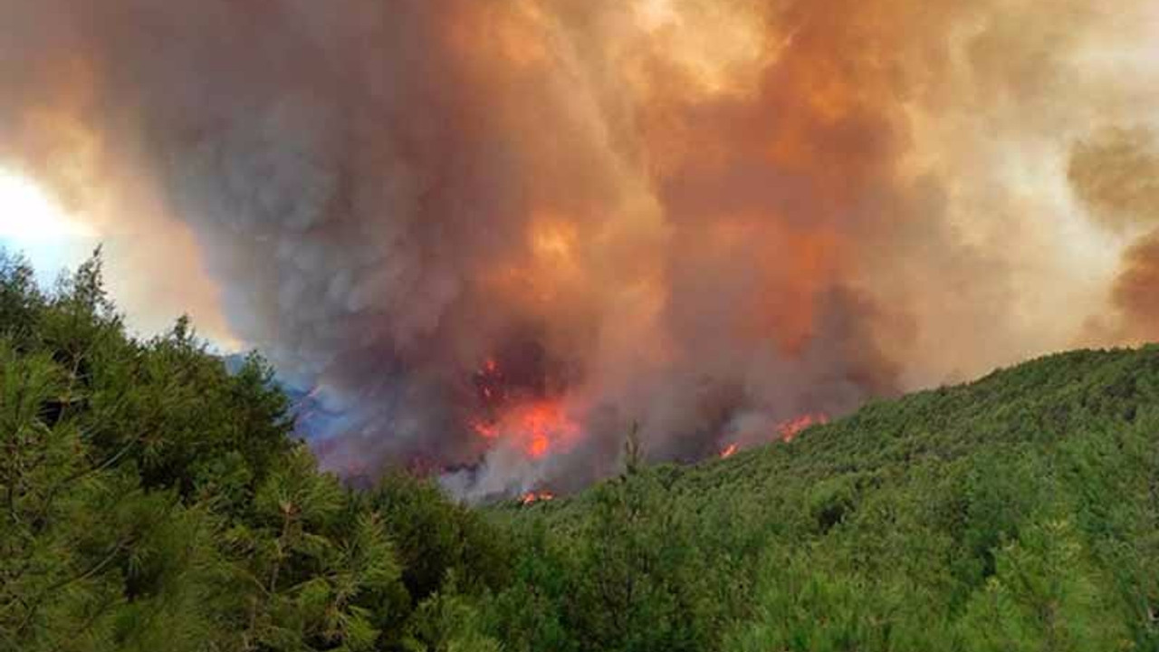 Hatay'daki orman yangınlarıyla ilgili gözaltına alınan 2 kişi tutuklandı