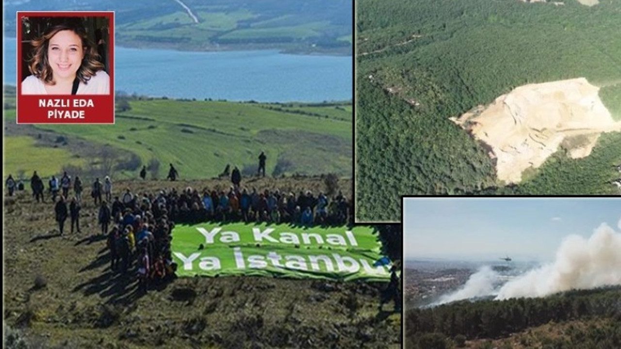 Üç aylık rapor hazırlandı: Kuzey Ormanları'nın yangın ve maden ocaklarıyla tahribi gözler önüne serildi