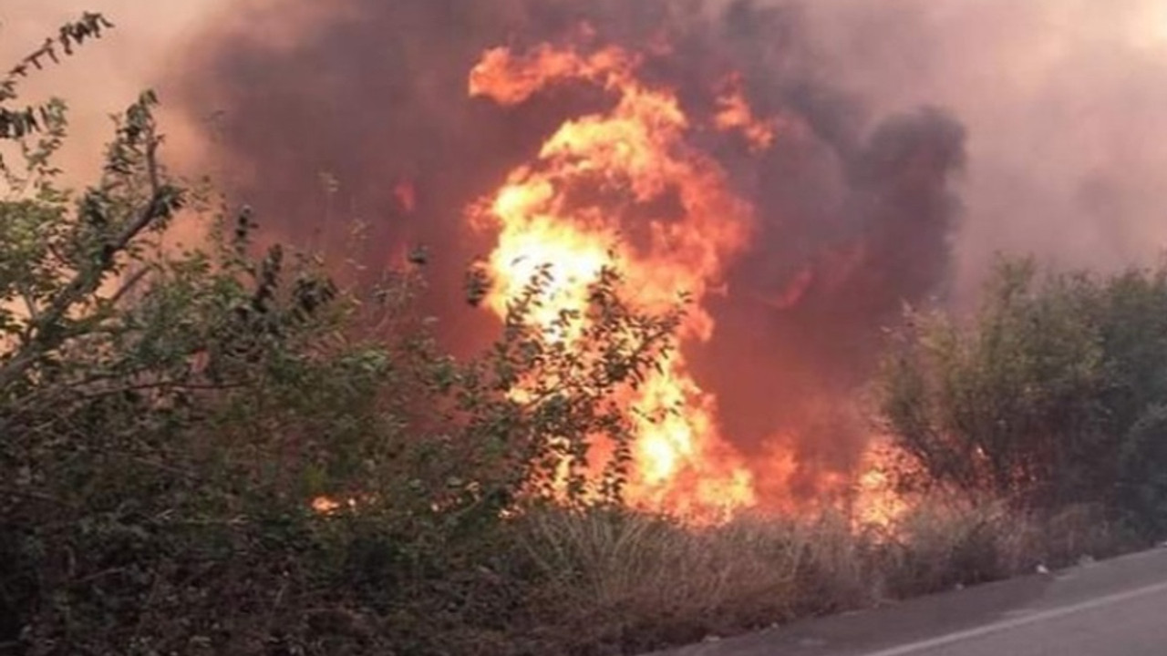 Mersin ve Hatay'da orman yangını