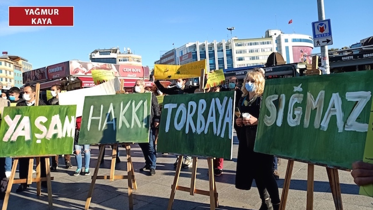 Ekolojik yıkım ve talan: Doğaya karşı bu kadar gaddar olmak zorunda mısınız?