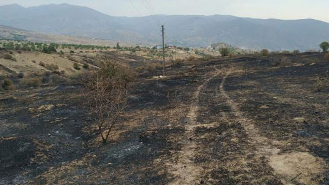 Elazığ'daki yangında 500 dönümlük arazi zarar gördü, binlerce arı öldü