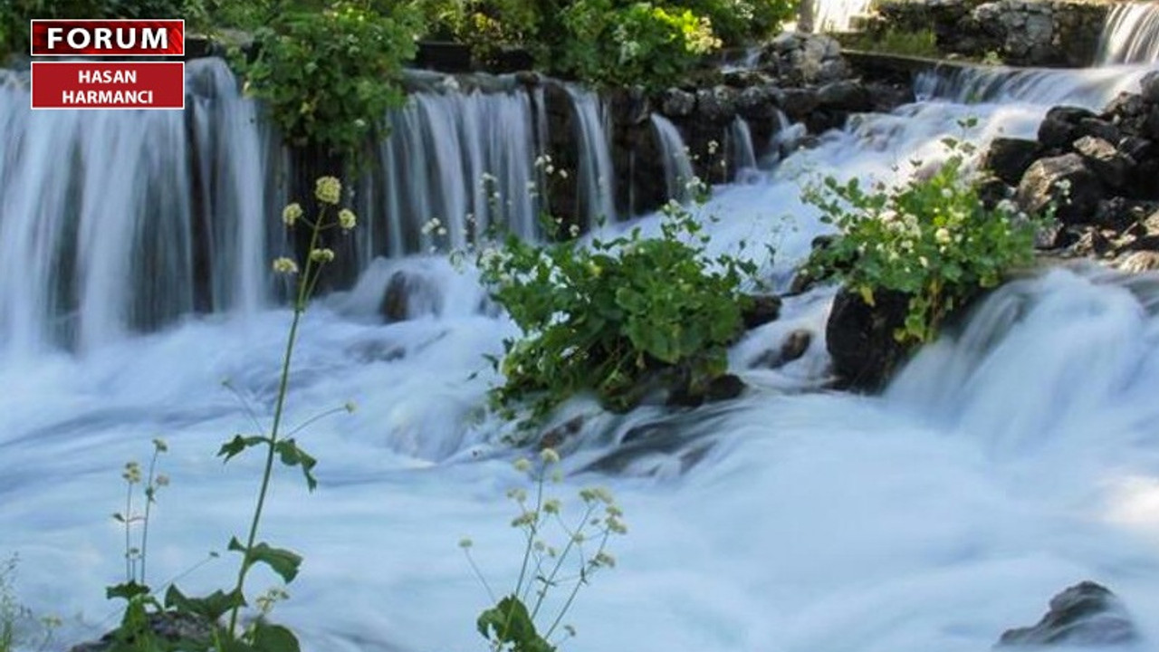 Dersim’in teslimi seçen çocukları