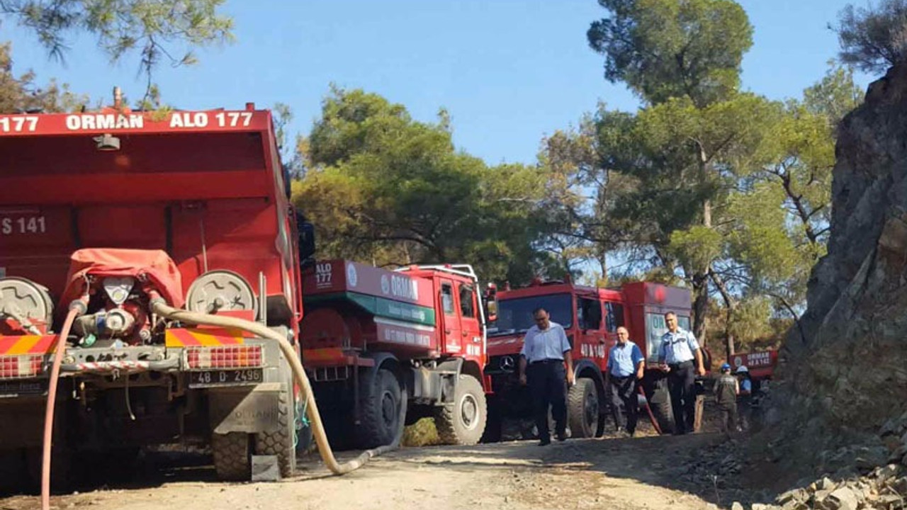 Muğla'da orman yangını