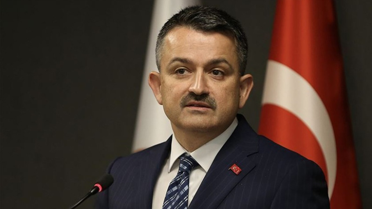 Bakanlık, 'işler aksamasın' diye kanunsuz atama yaptı