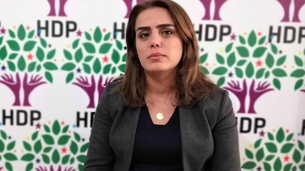 HDP'li Başaran: İmralı'da hukukla tanımlanacak bir rejimden söz edemeyiz