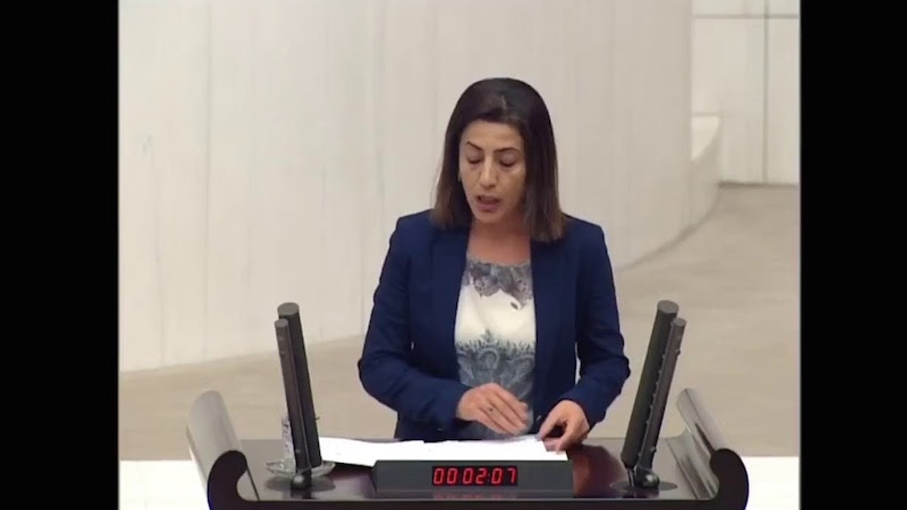 HDP'li Nuran İmir: Engelli kadınlar, cinsel saldırı ve tacize daha fazla maruz kalıyor