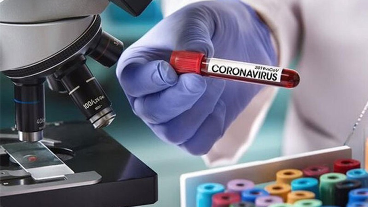 Coronavirus tablosu: 31 bin 896 pozitif vaka tespit edildi