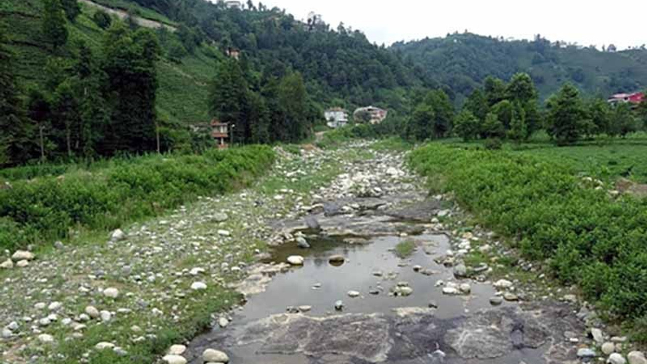 Eski Artvin valisi ve oğluna ait şirketin kentteki HES çalışmalarına karşı ortak açıklama