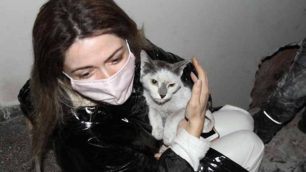 'Aşık' isimli kedi, İzmir depreminden 42 gün sonra kurtarıldı